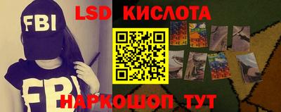 прущие грибы Пугачёв