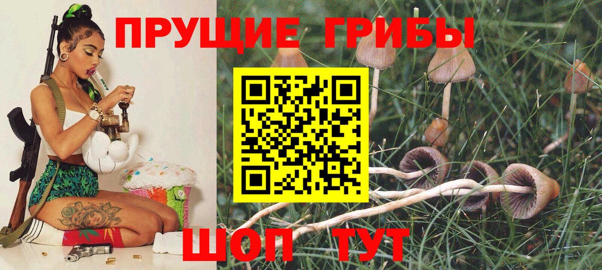 Учалы  Псилоцибиновые грибы Magic Shrooms  Галлюциногенные грибы GOLDEN TEACHER  Вход с VPN 