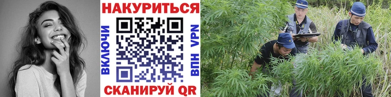 где найти   мега ONION  Шишки марихуана конопля  Учалы 
